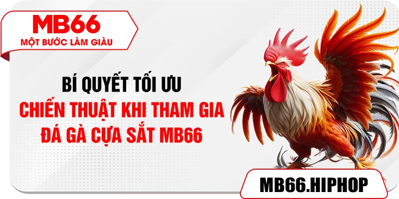 Bí quyết tối ưu chiến thuật khi tham gia đá gà cựa sắt MB66