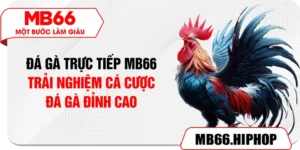 Đá Gà Trực Tiếp MB66 – Trải Nghiệm Cá Cược Đá Gà Đỉnh Cao