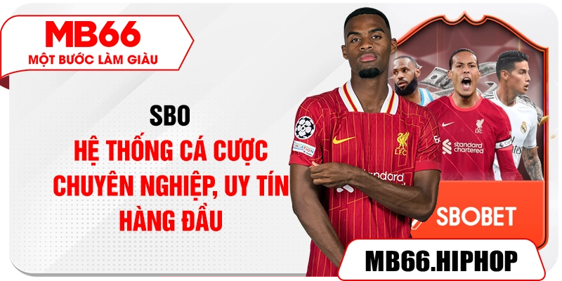 SBO – Hệ thống cá cược chuyên nghiệp, uy tín hàng đầu