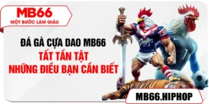 Đá Gà Cựa Dao MB66 – Tất Tần Tật Những Điều Bạn Cần Biết
