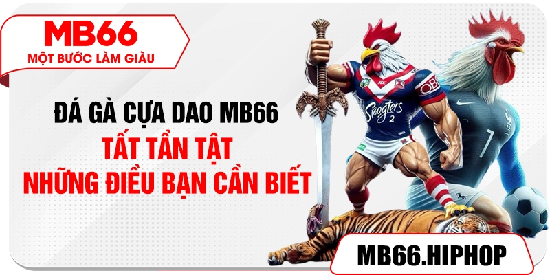 Đá Gà Cựa Dao MB66 – Tất Tần Tật Những Điều Bạn Cần Biết