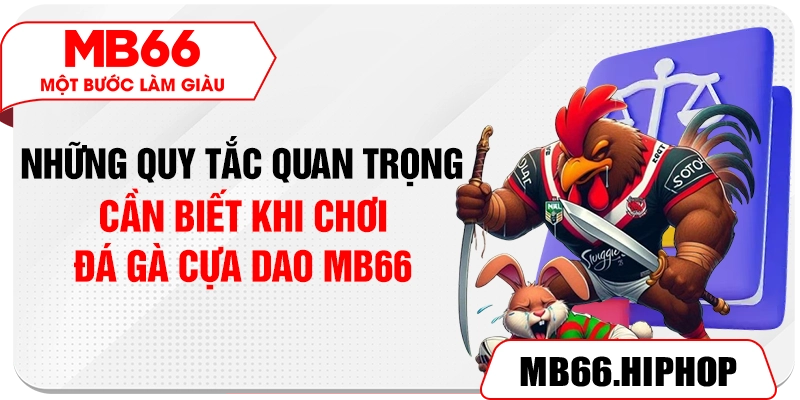 Những quy tắc quan trọng cần biết khi chơi đá gà cựa dao MB66
