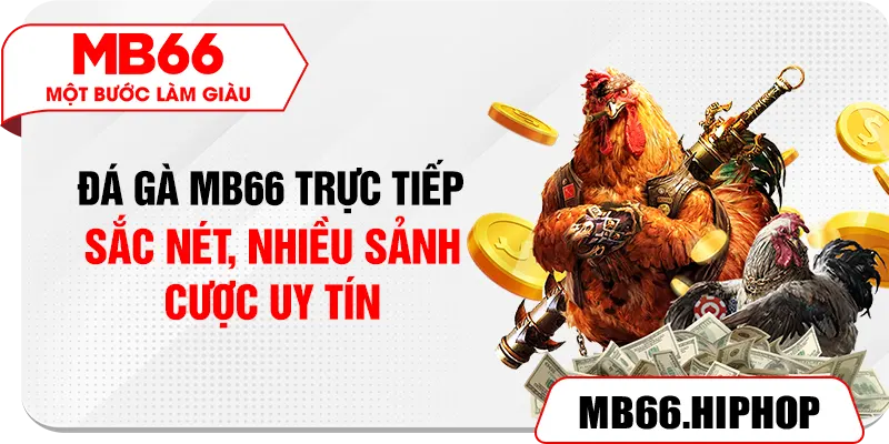 Đá gà MB66 trực tiếp, sắc nét, nhiều sảnh cược uy tín